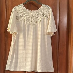 Cream Lace Collar & Upper Back Short Sleeve Top